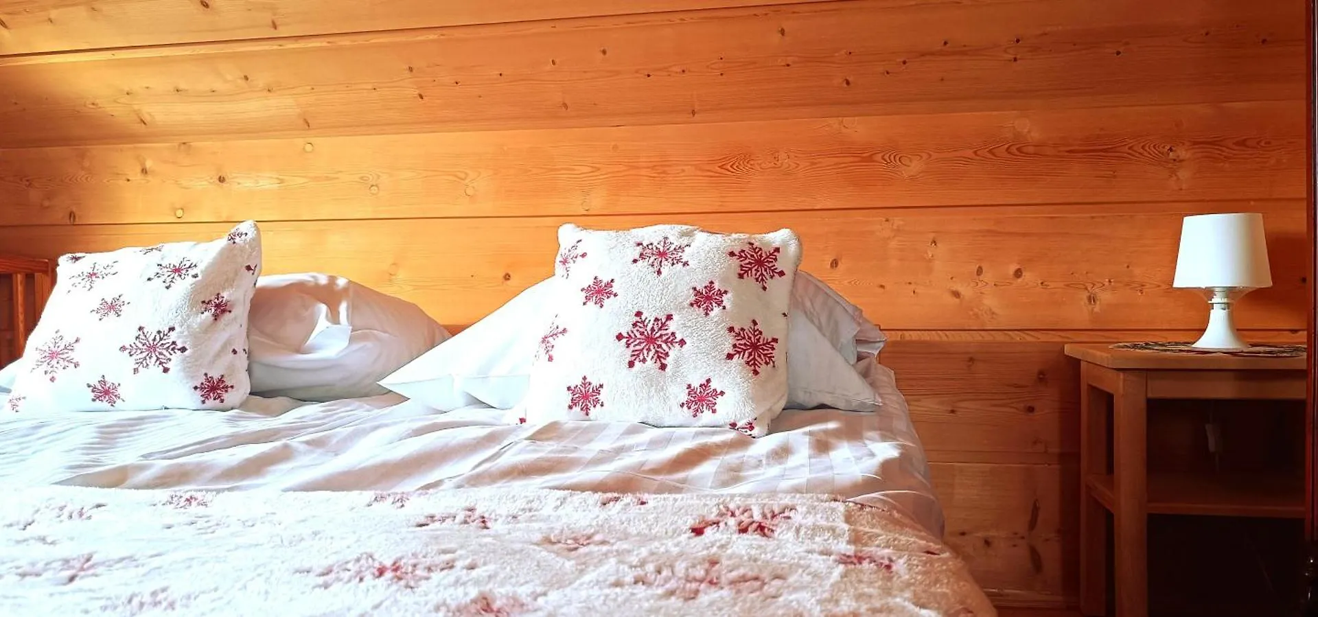 Domek NBD-bafia Zakopane Domek alpejski